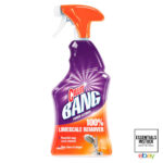 Cillit 750ml BANG s pumpicom – za kamenac