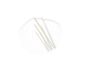 JGE Štapići drveni za ražnjiće 20cm 100/1